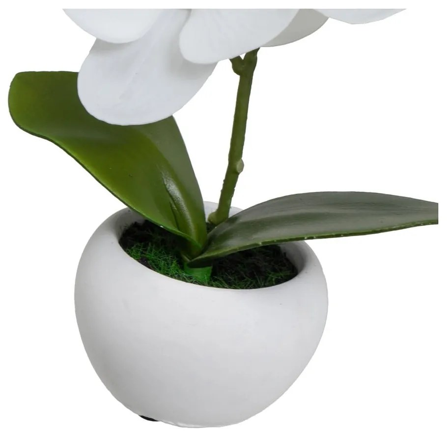 Sztuczne rośliny zestaw 3 szt. (wysokość 15 cm) Orchid – Casa Selección