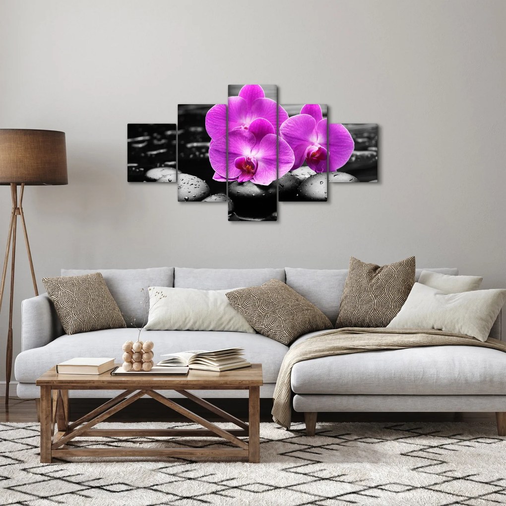 Obraz - Fioletowe orchidee (125x70 cm)