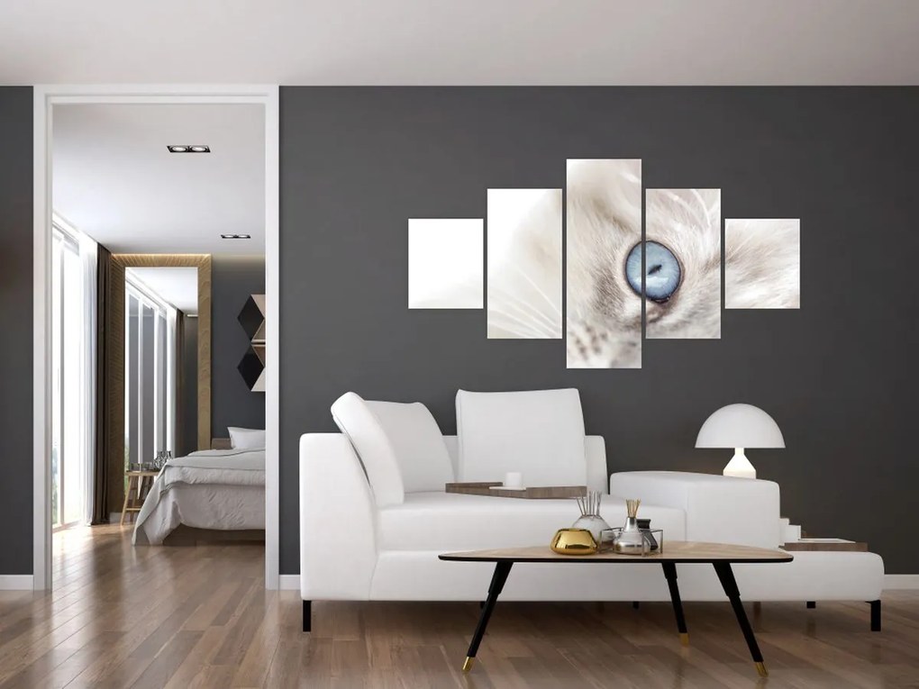 Obraz - Kot z niebieskimi oczami (125x70 cm)