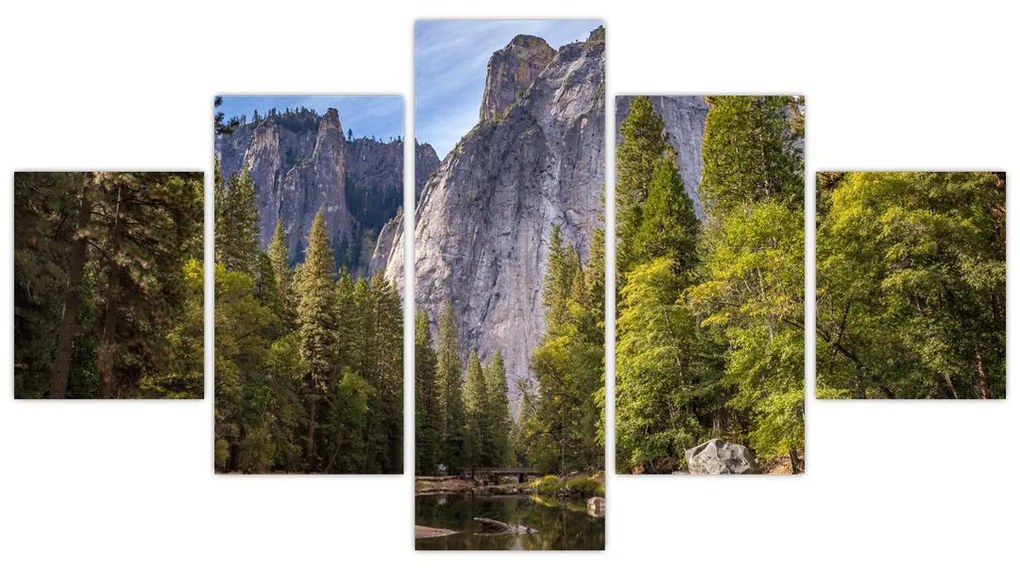 Obraz - Pod Yosemite Rock (125x70 cm)