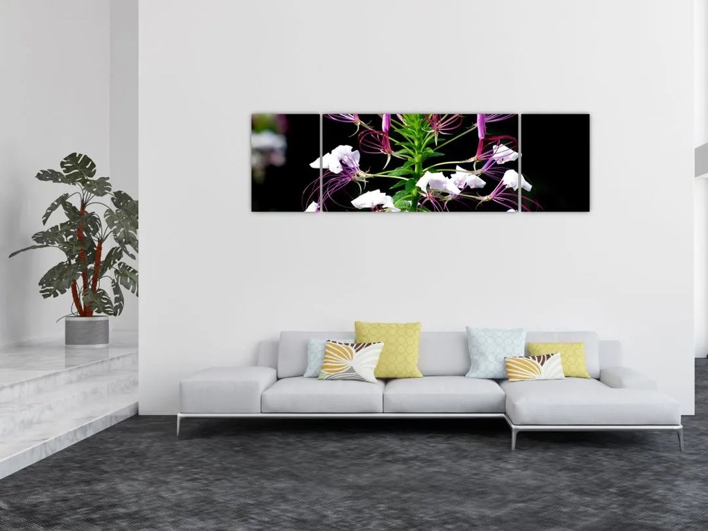 Obraz kwiatu (170x50 cm)