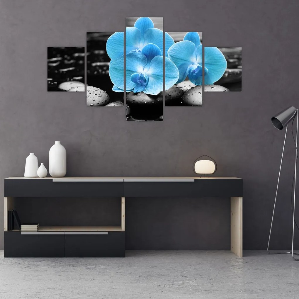 Obraz - Niebieska Orchidea (125x70 cm)