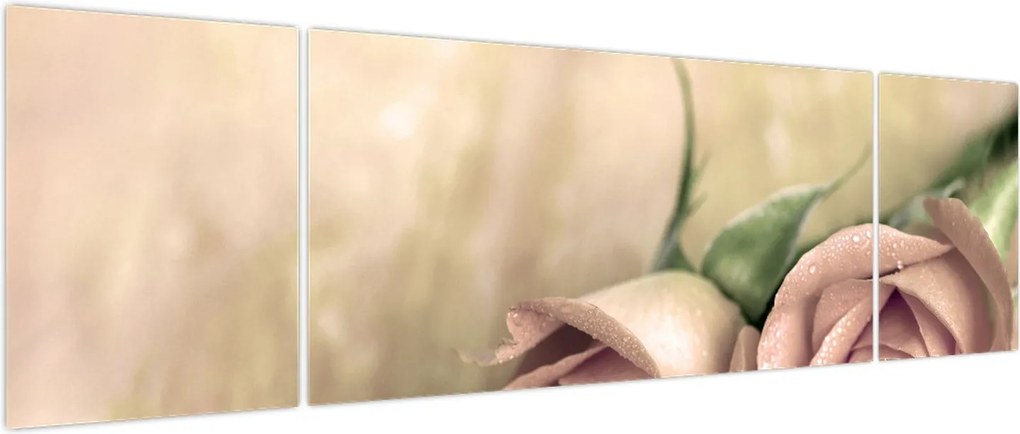 Obraz - Delikatne róże (170x50 cm)