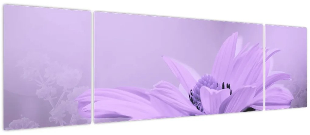 Obraz - Fioletowy kwiat (170x50 cm)