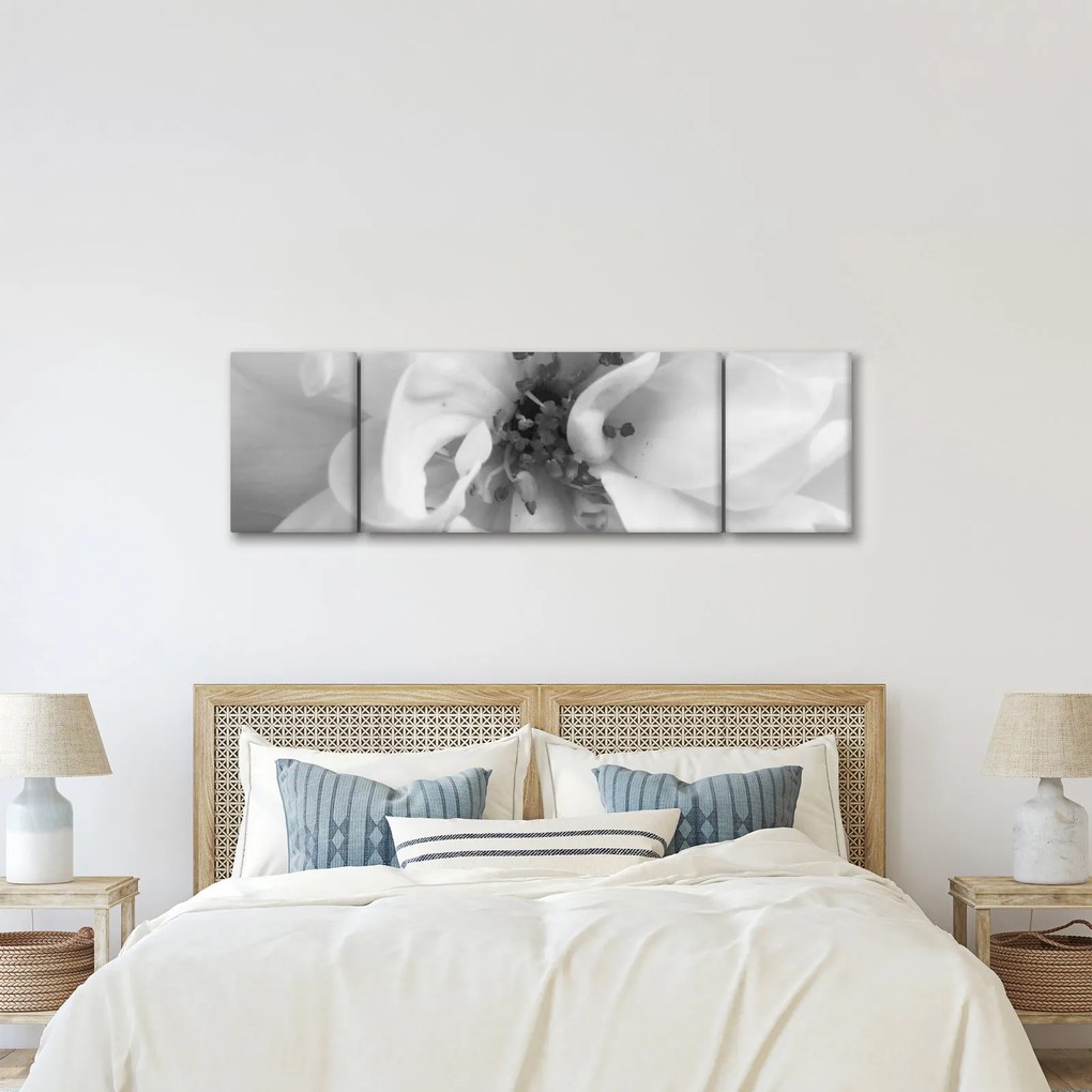 Obraz - Kwiat, czarno - biały (170x50 cm)
