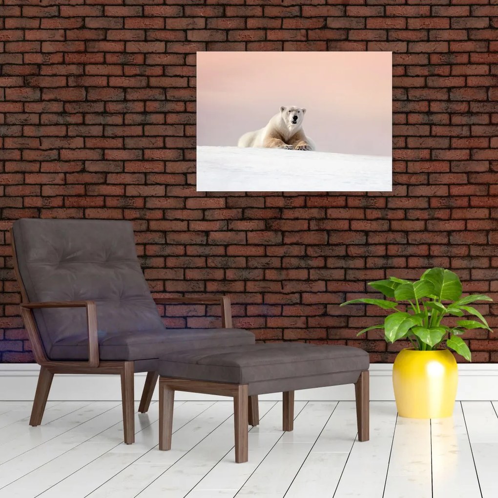 Obraz - Niedźwiedź polarny (70x50 cm)
