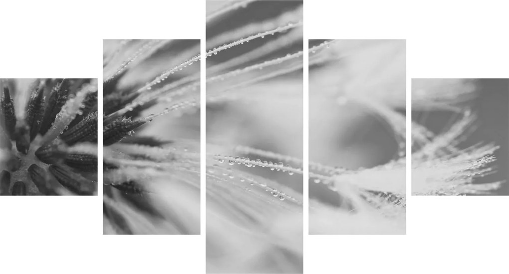 Obraz - Mlecz (125x70 cm)