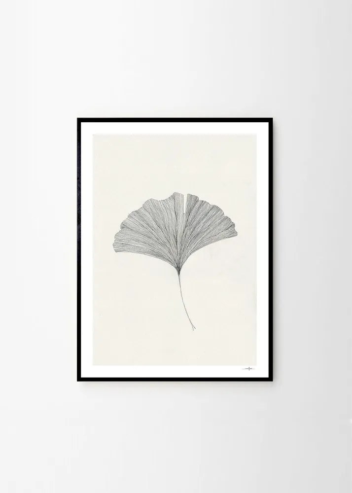 Plakat 50x70 cm Ginkgo Leaf – Ana Frois – The Poster Club