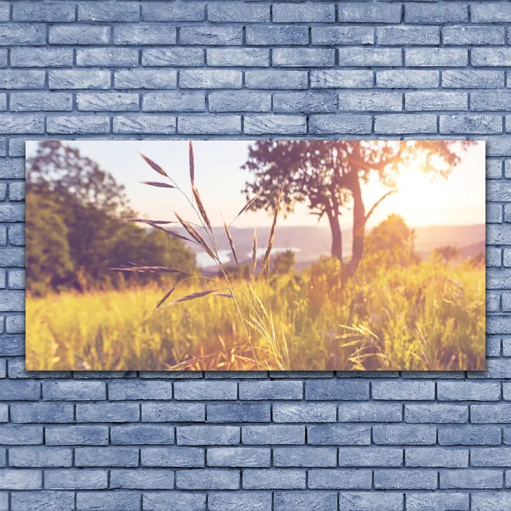 Obraz Canvas Łąka Trawa Drzewo Natura