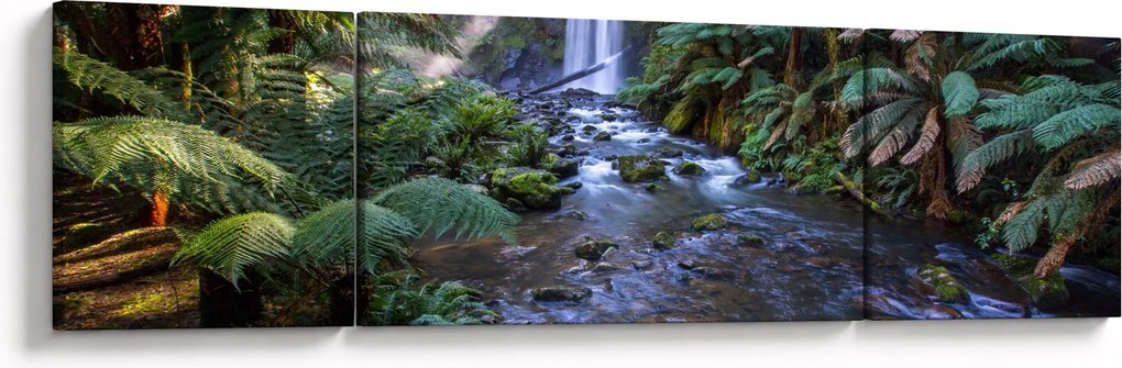 Obraz australijskiego lasu deszczowego (170x50 cm)