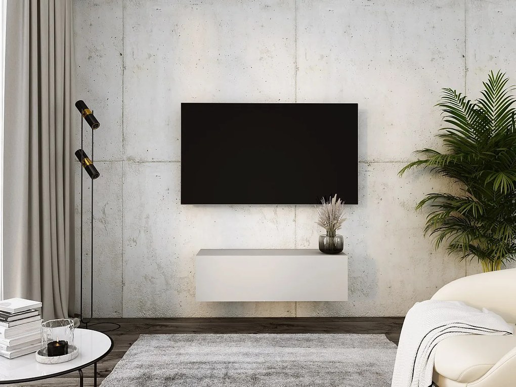 Zawieszana szafka pod telewizor, 100 x 34 x 32 cm, kaszmir