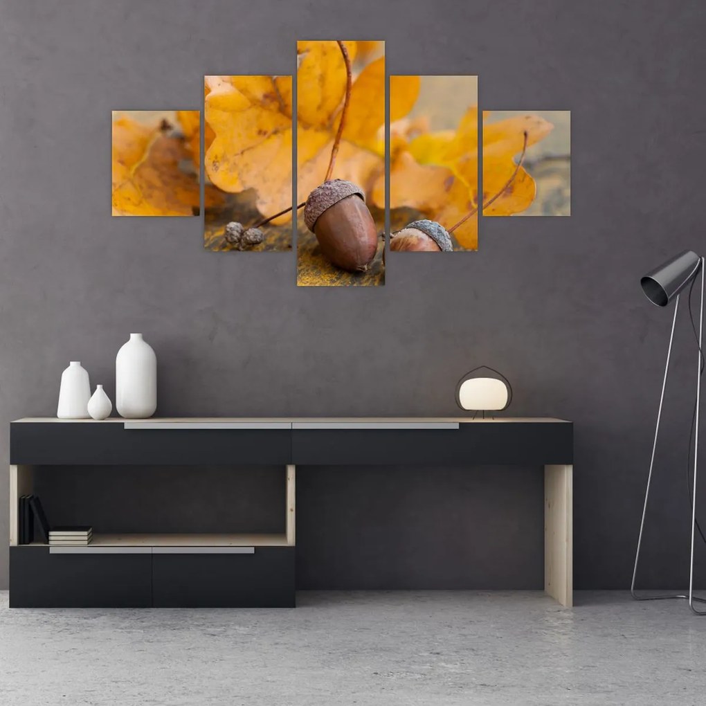 Obraz - Jesienne żołędzie (125x70 cm)