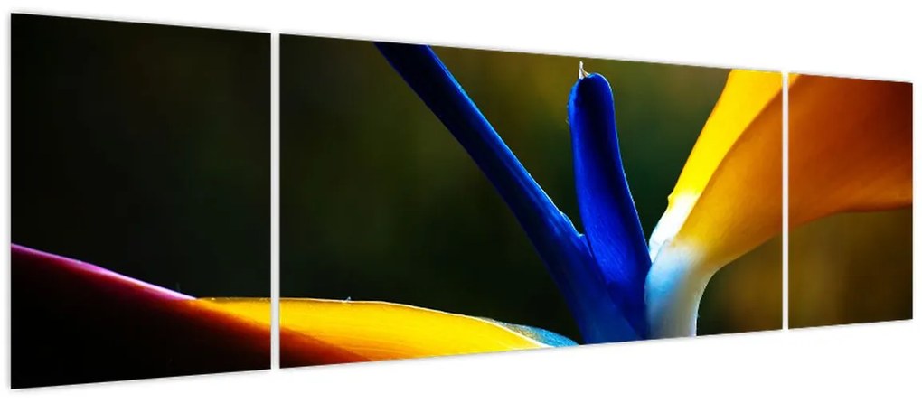 Obraz - Egzotyczny kwiat (170x50 cm)