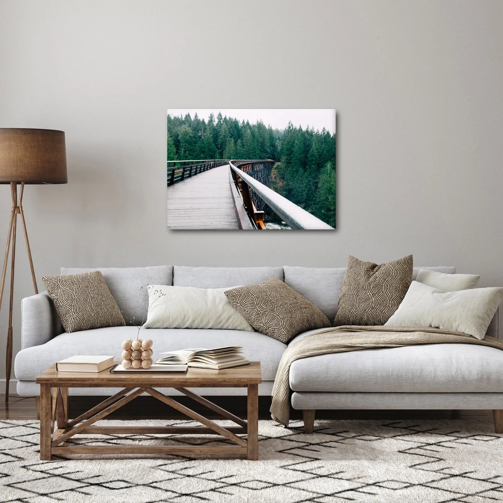 Obraz - Most do wierzchołków drzew (70x50 cm)