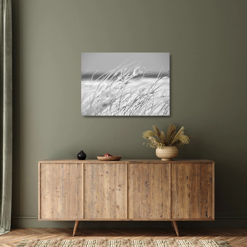 Obraz na szkle - Trawa plażowa (70x50 cm)