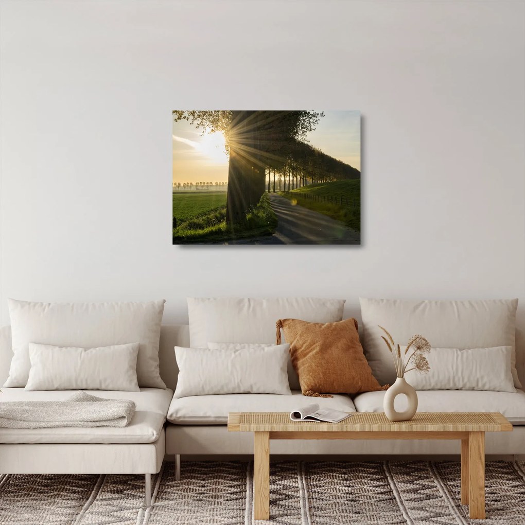 Obraz na szkle - aleja (70x50 cm)