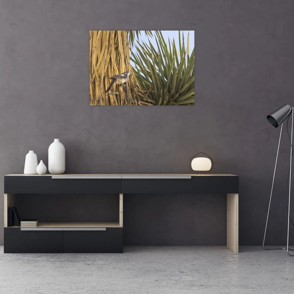 Obraz na szkle - Strzyżyk (70x50 cm)