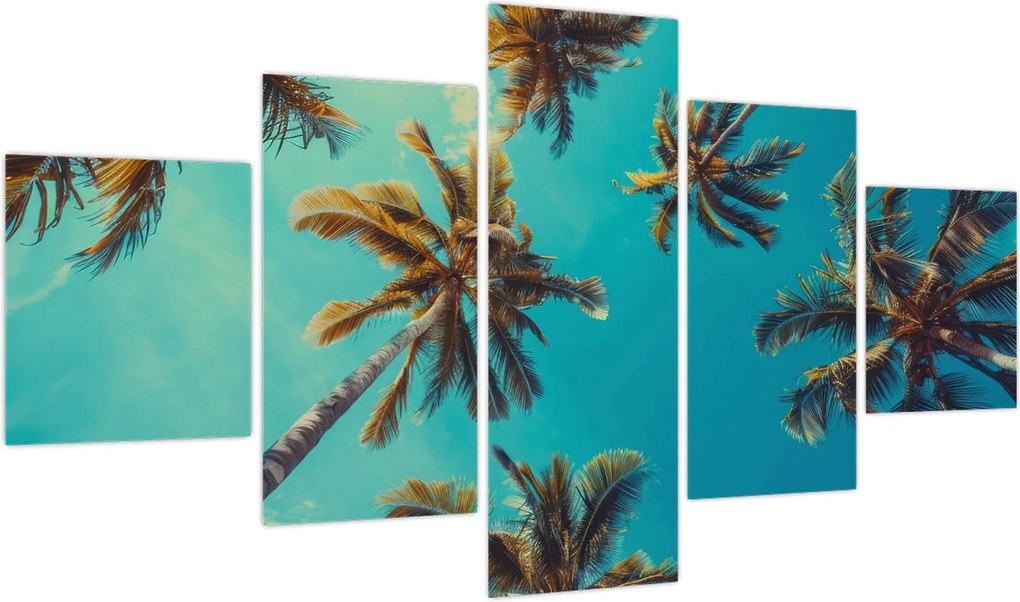 Obraz - Wysokie palmy (125x70 cm)