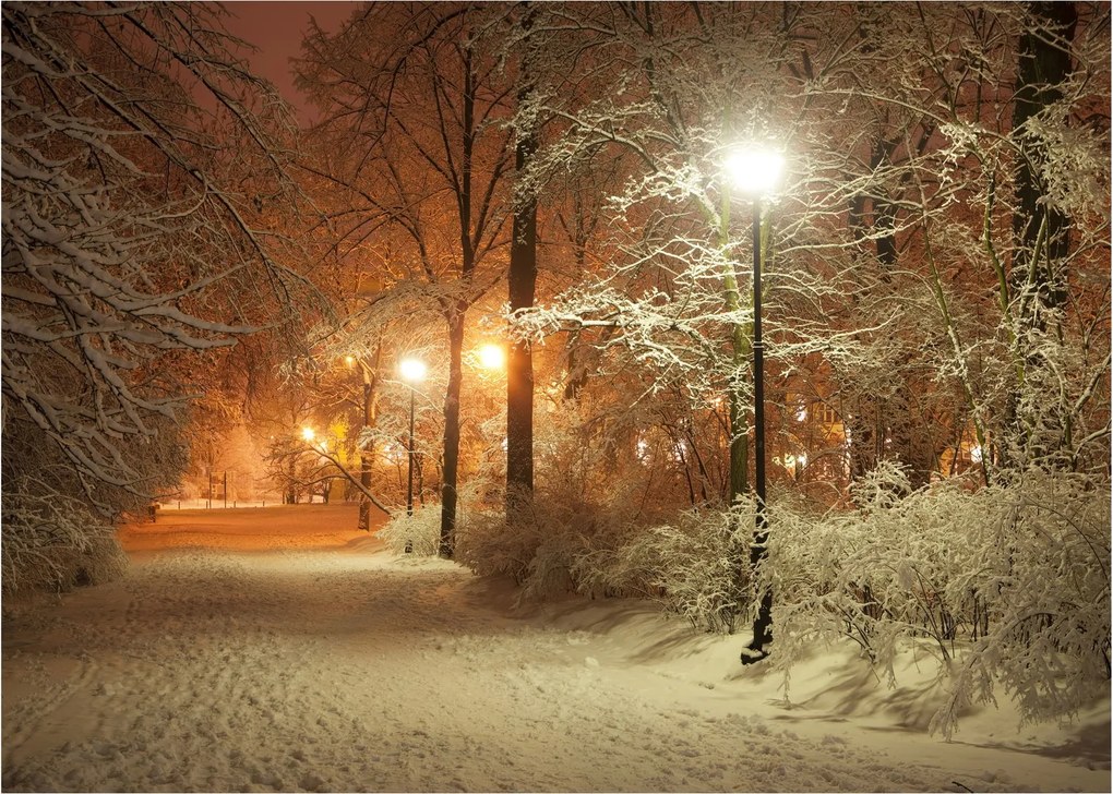 Obraz na szkle - Zaśnieżony park (70x50 cm)