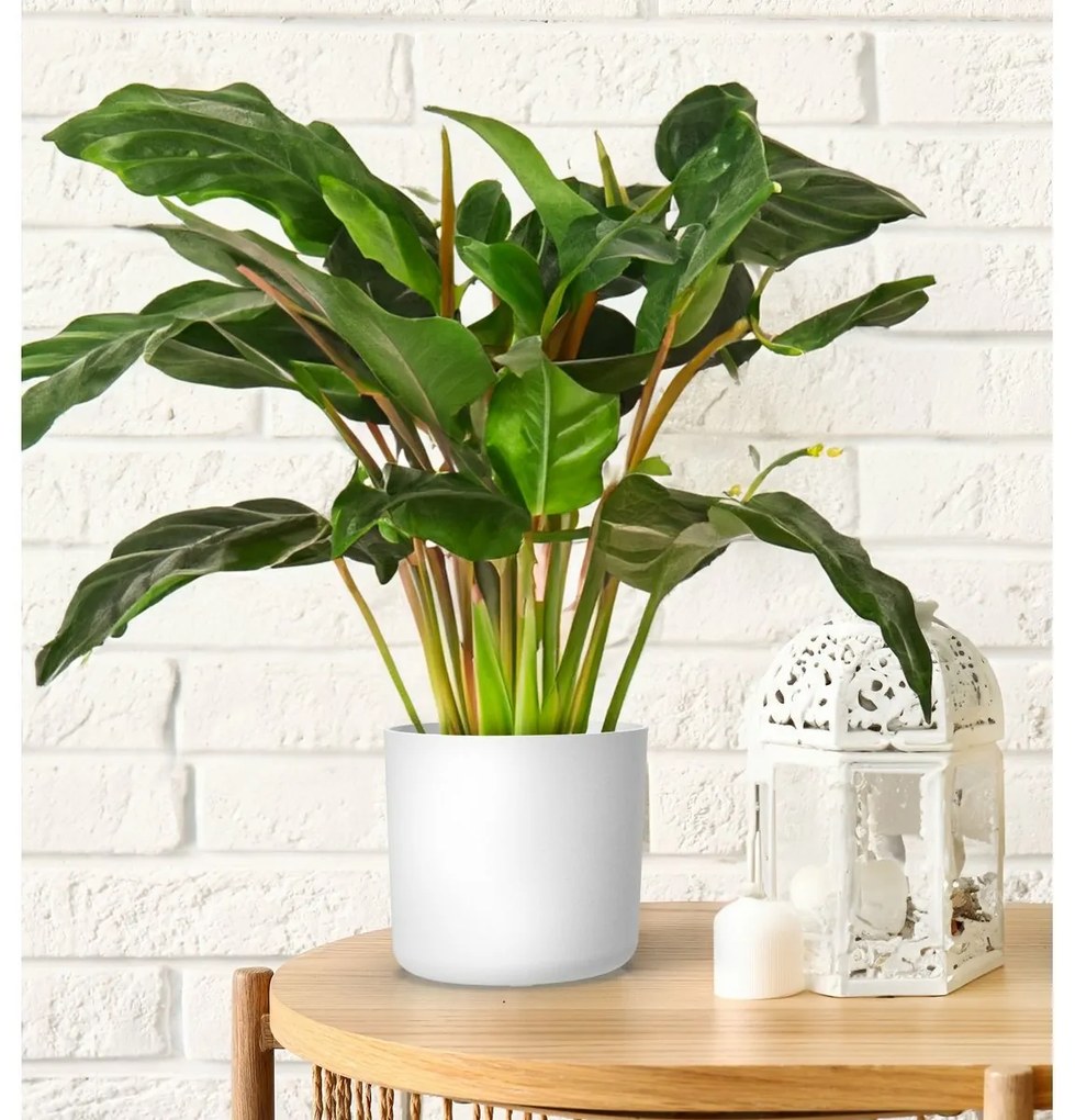 Gardenico Doniczka Lora biały, śr. 35 cm, śred. 35 cm