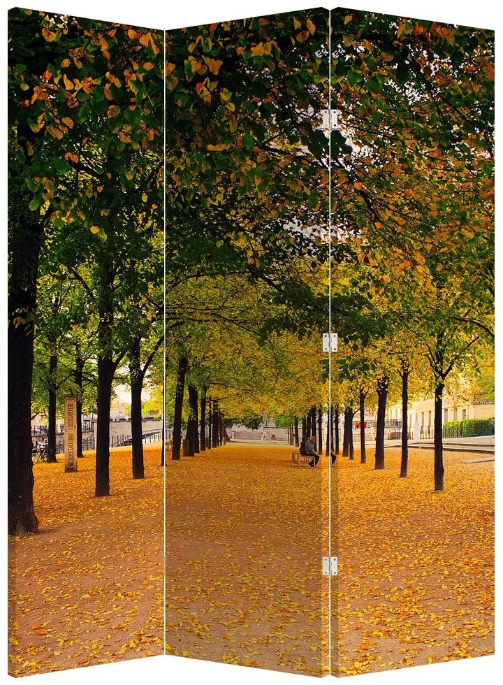 Parawan - Aleja jesiennych drzew (126x170 cm)