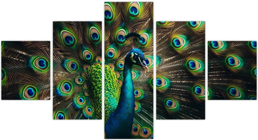 Obraz – Paw (125x70 cm)