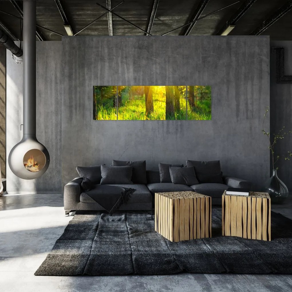 Obraz - Wiosenne przebudzenie lasu (170x50 cm)