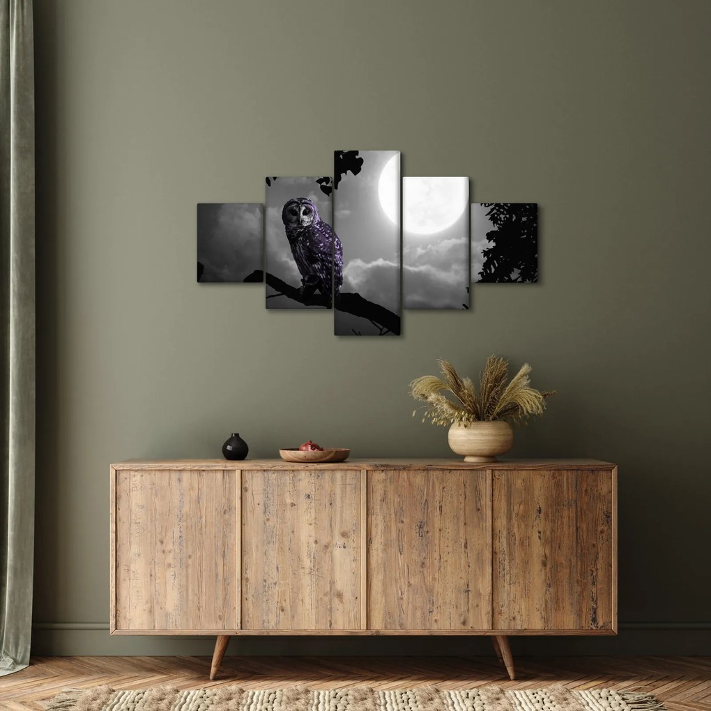 Obraz - Nocna sowa, fioletowa sowa (125x70 cm)