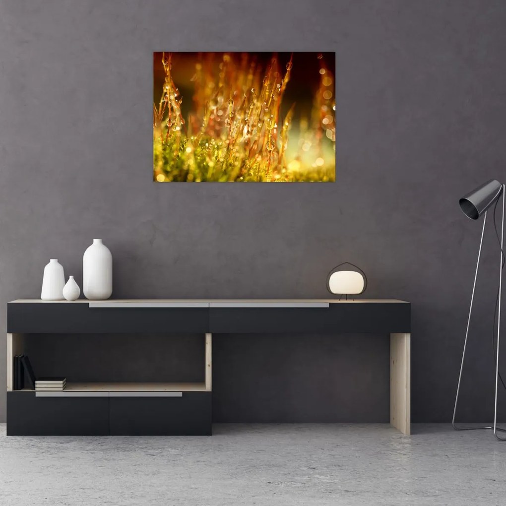 Obraz - Szczegół rosy (70x50 cm)