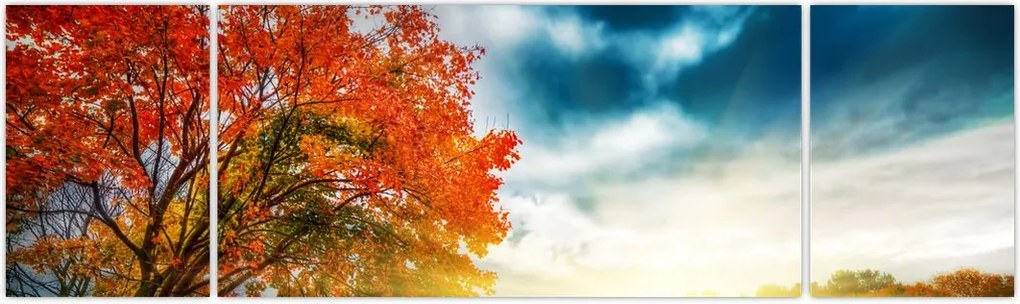 Obraz skąpanego w słońcu krajobrazu (170x50 cm)