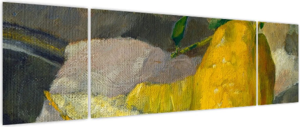 Obraz - French 19th Century, Melon and Lemon, reprodukcje (170x50 cm)