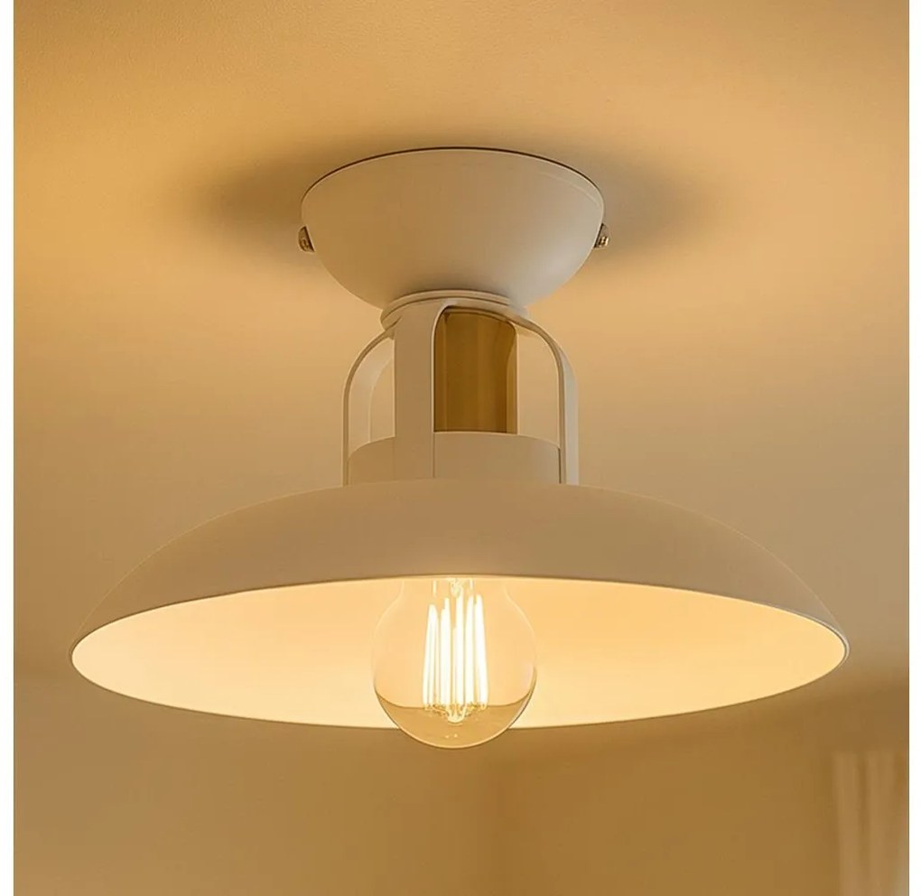 Brilagi - LED Żyrandol natynkowy FLAMENGO 1xE27/60W/230V biały