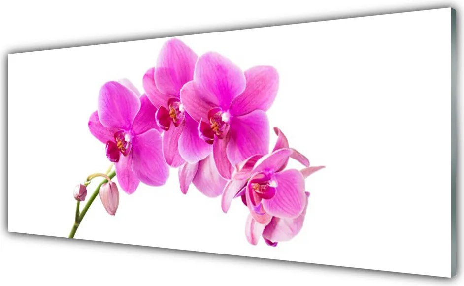 Panel nad blat kuchenny Biała Orchidea na Płótnie