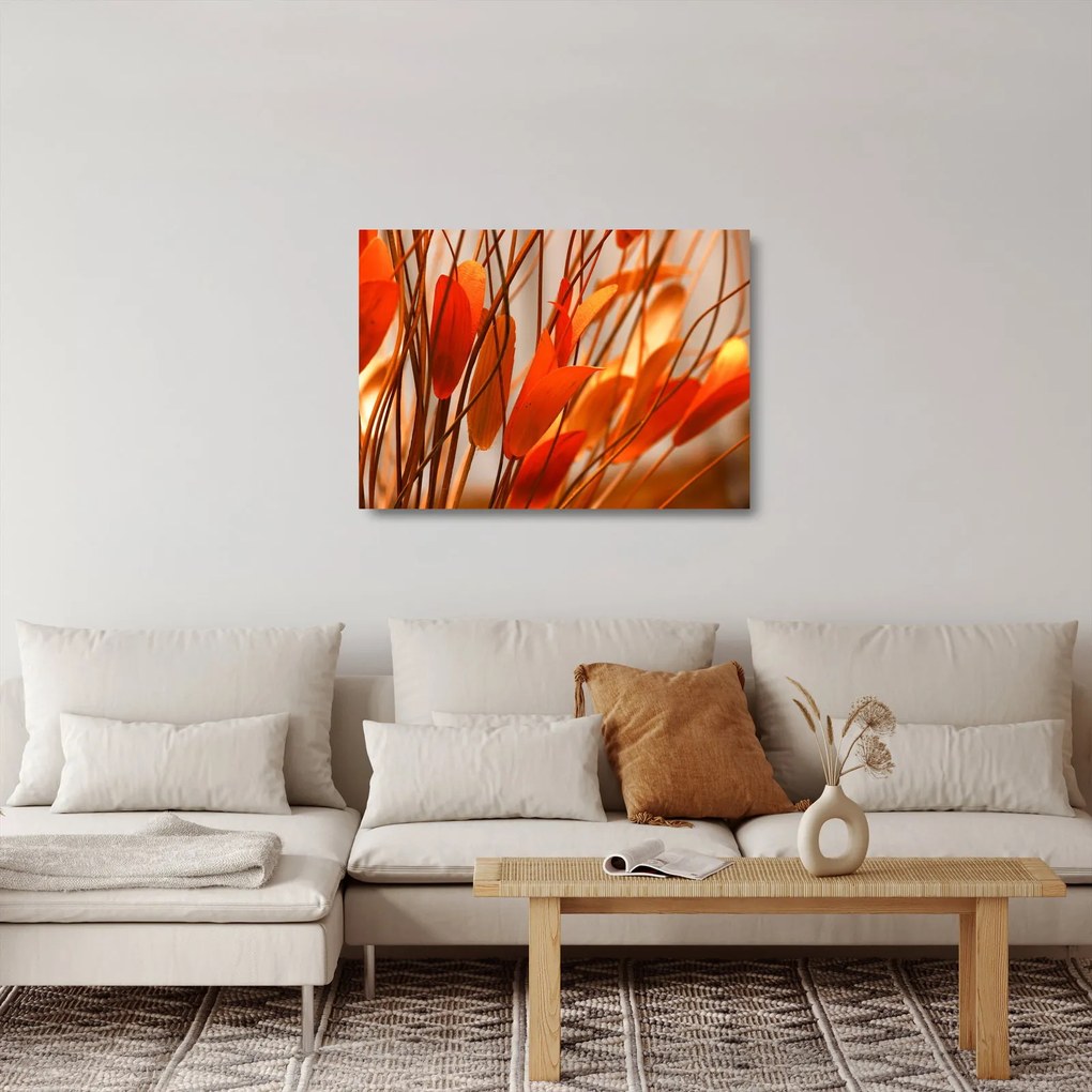 Obraz na szkle płatków kwiatów (70x50 cm)