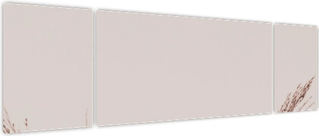 Obraz - Suszona trawa (170x50 cm)