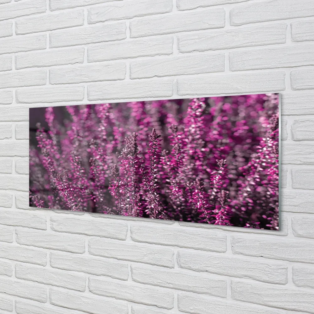 Szklany Panel Pole wrzosy