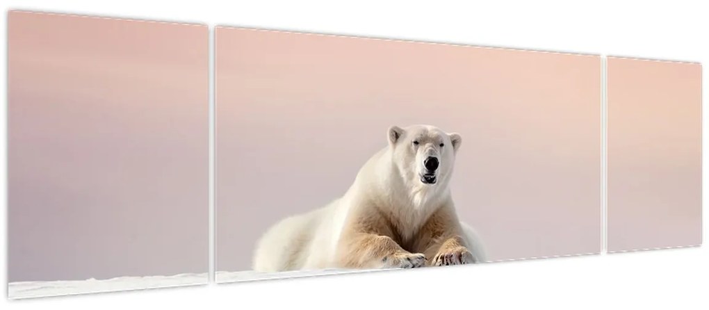 Obraz - Niedźwiedź polarny (170x50 cm)