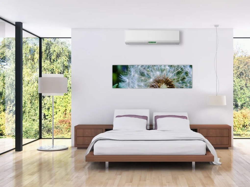 Obraz przekwitniętego dmuchawca (170x50 cm)
