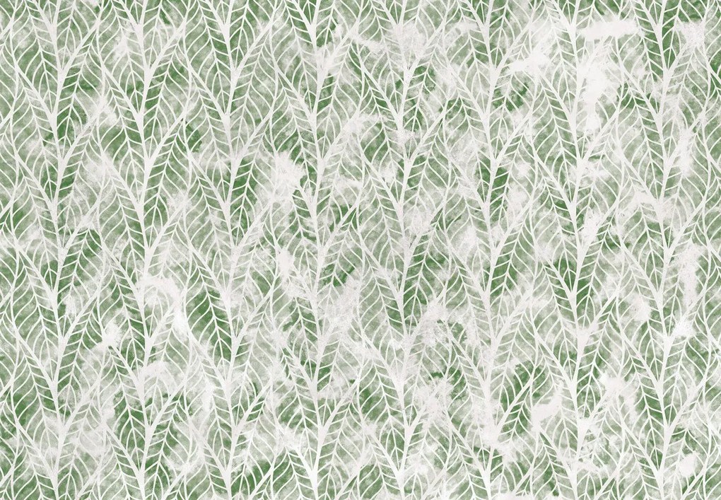 Fototapeta - Ażurowe liście, zielona (196x136 cm)