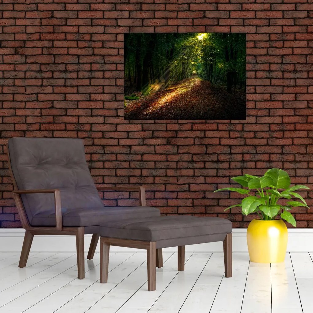 Obraz leśnej ścieżki (70x50 cm)