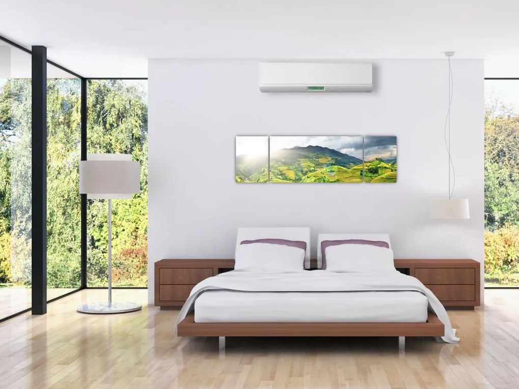 Obraz plantacji (170x50 cm)