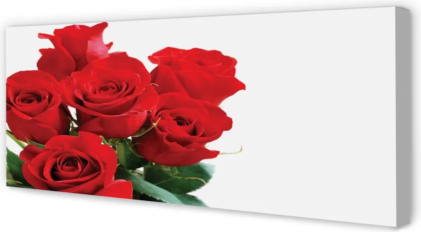 Fotoobraz na płótnie Klasyczna Wiązanka Róż