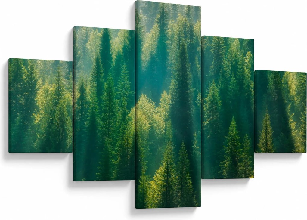 Obraz - Las sosnowy (125x70 cm)