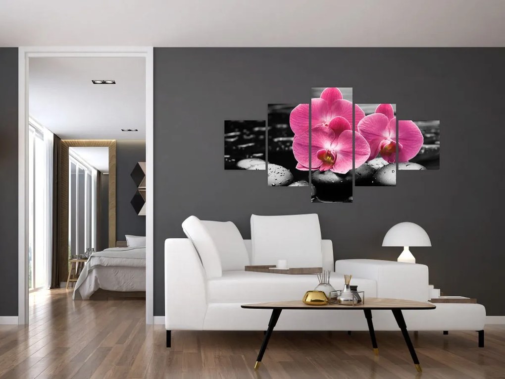Obraz - Różowe orchidee (125x70 cm)