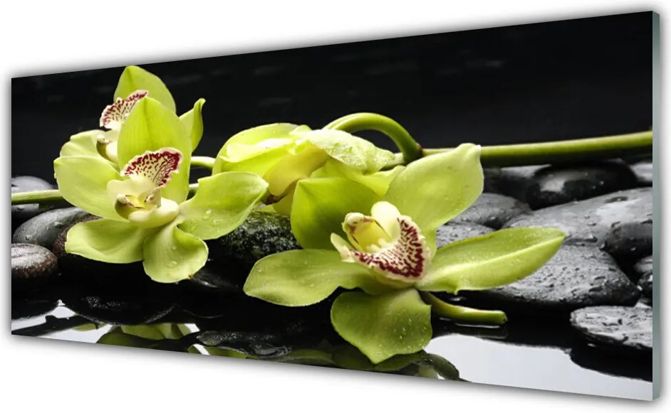 Szkło nad Blatem Egzotyczny Kwiat Orchidei