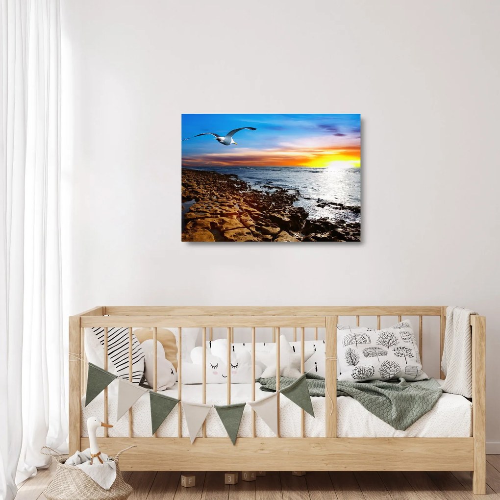 Obraz na szkle - Mewa lecąca nad wybrzeżem (70x50 cm)