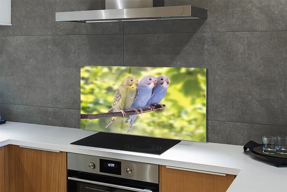 Panel Szklany Tropikalna Para na Drzewie