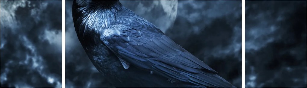 Obraz - Gawron (170x50 cm)