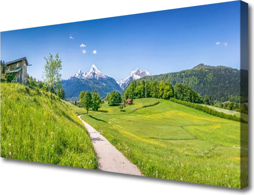 Obraz canvas Szlak Przez Górską Dolinę