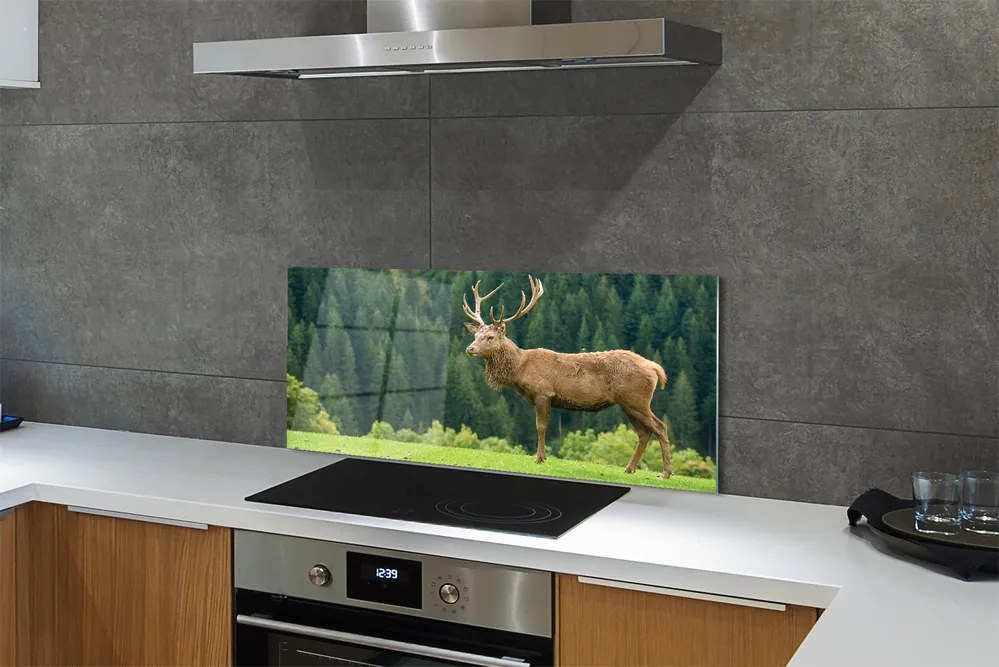 Panel nad Blat Kuchenny Jeleń na Otwartym Polu